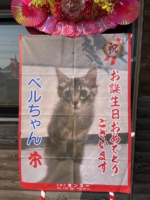 写真もプリント可能